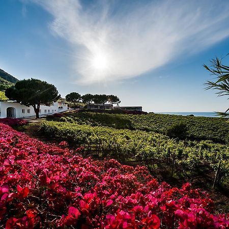 Capofaro Locanda & Malvasia Мальфа Екстер'єр фото